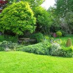 How to Find the Best Service to Keep Your Natural Lawn Grass