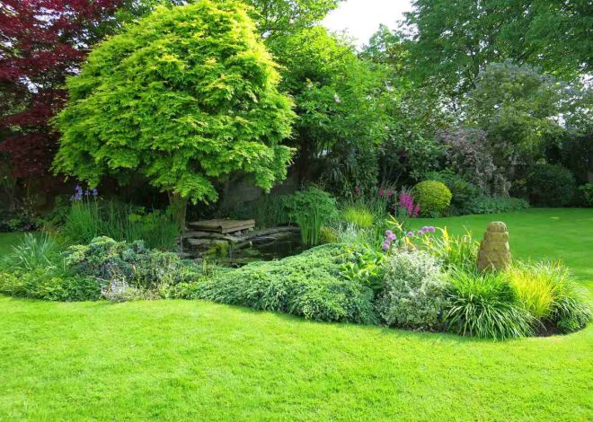 How to Find the Best Service to Keep Your Natural Lawn Grass